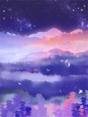 小何破案视频